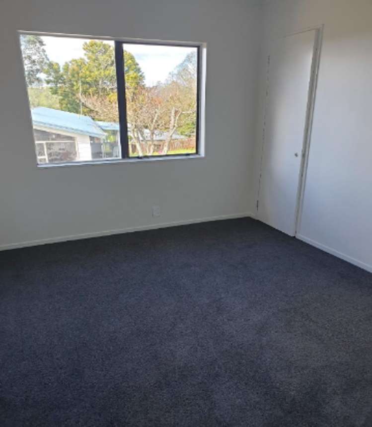 292b Rodney Street Wellsford_8
