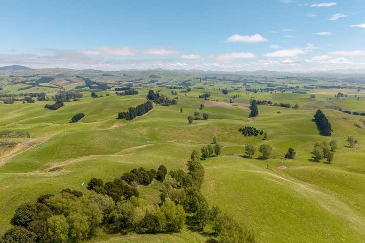 299 Domett Road Domett_1