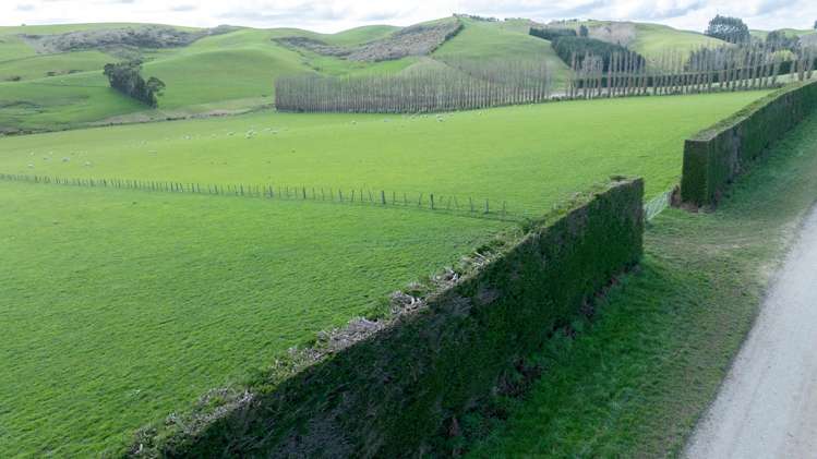 559 Waipahi Highway Mcnab_9