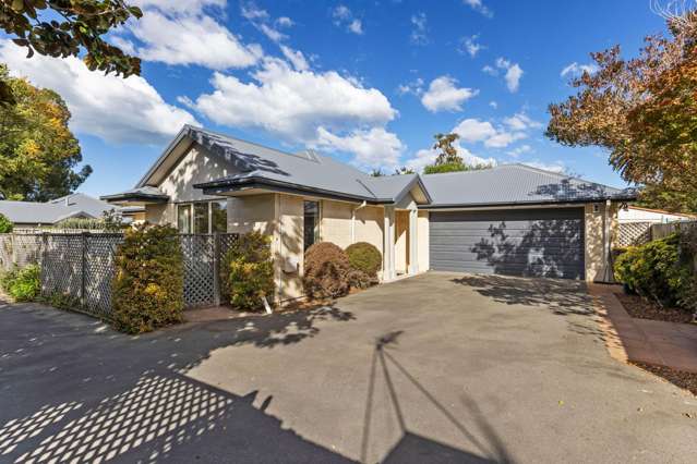 Tucked Away Treasure with Park Views