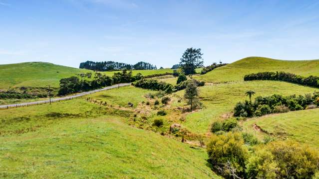 Lot 1 Lincoln Road Inglewood_4