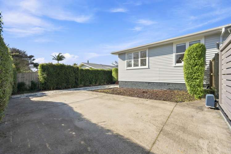 17 Laurel Street Mount Albert_18