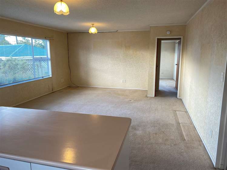 241 Carlton Street Te Awamutu_7