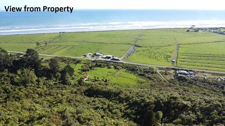 844 Nikau Road, State Highway 67_4