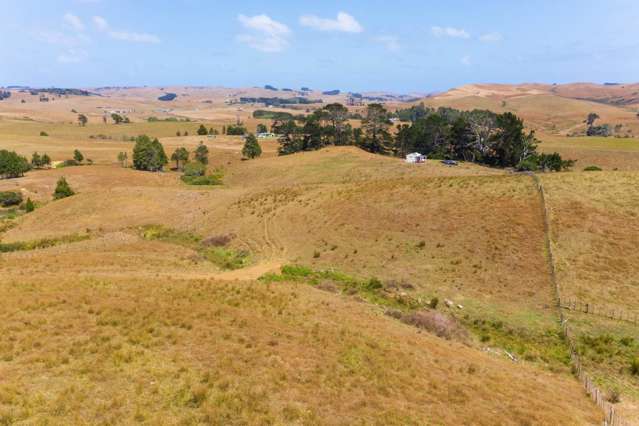 1149 Waikaretu Valley Road Waikaretu_4