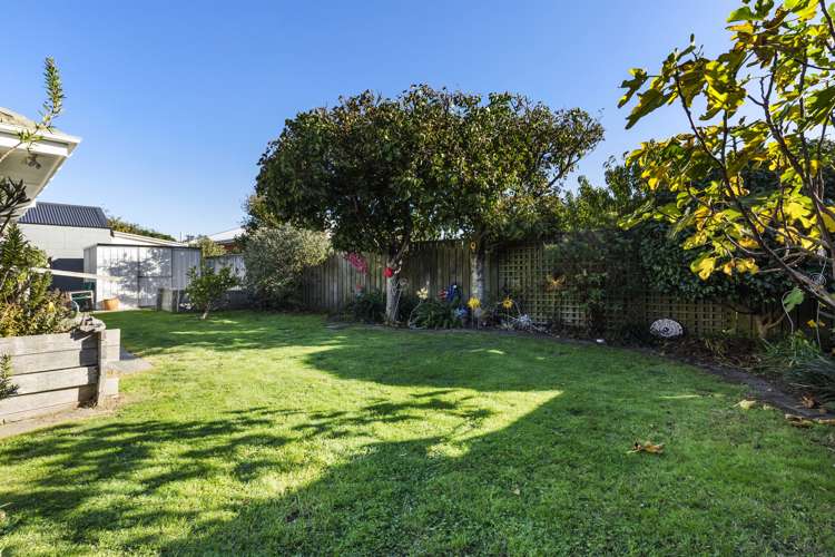 59a Ira Street Miramar_5