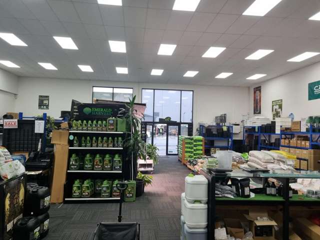 1C Sunshine Avenue Te Rapa_1