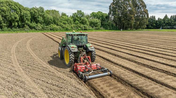 16 Cordys Road Hororata_20