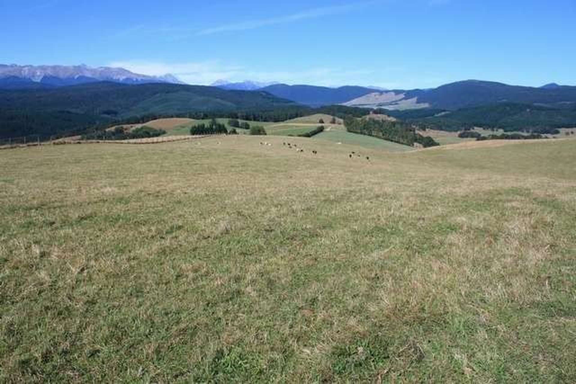 246 Howard Valley Road Kahurangi National Park_0