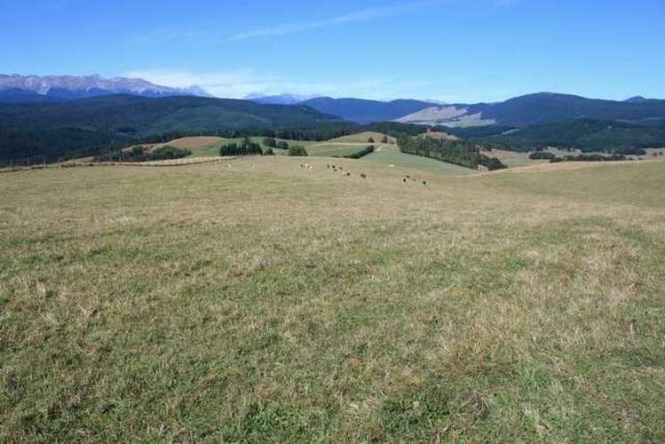 246 Howard Valley Road Kahurangi National Park_0