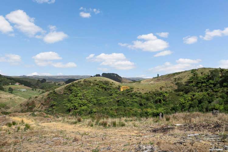 37 Waikaretu Wairamarama Road Glen Murray_8