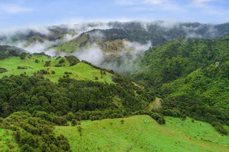426 Pukeatua Road Ruapehu-King Country Surrounds_2