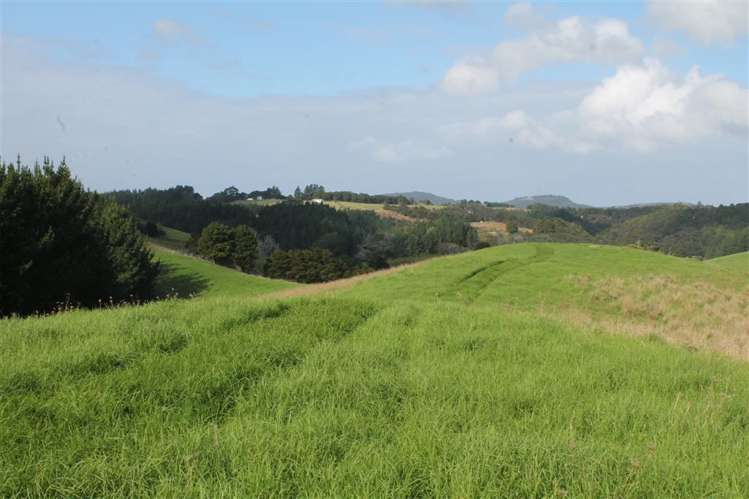 Taraunui Road Parua Bay_7