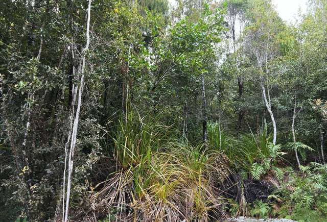 Lot 74 Sanctuary Place Kumara Junction_2