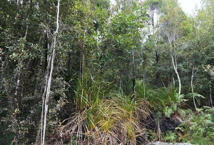 Lot 74 Sanctuary Place Kumara Junction_2