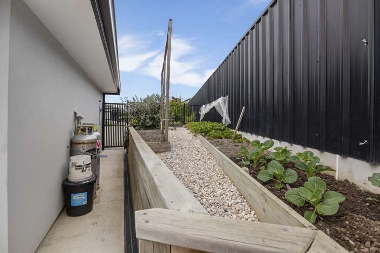 2 Koi Crescent Mapua_20