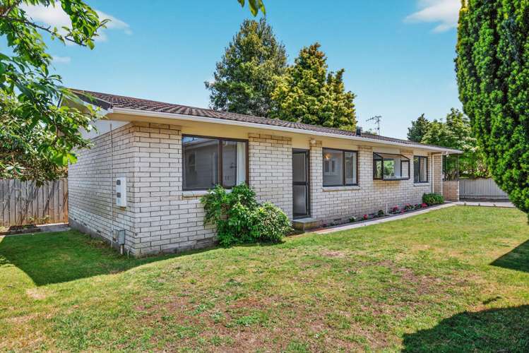 11 Kiwi Street Bird Area_18