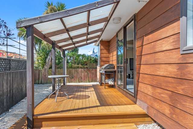 24 Harker Street Spreydon_1