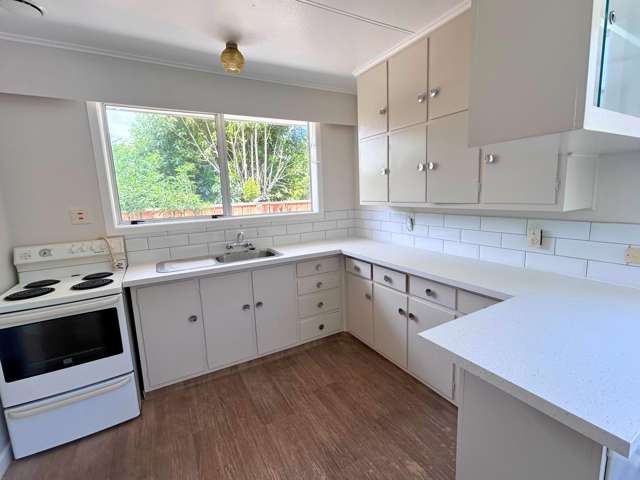 11A Burden Street Blenheim_3