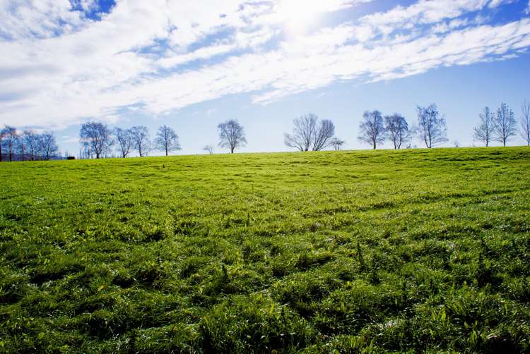 254 Maytown Road Waimate_3