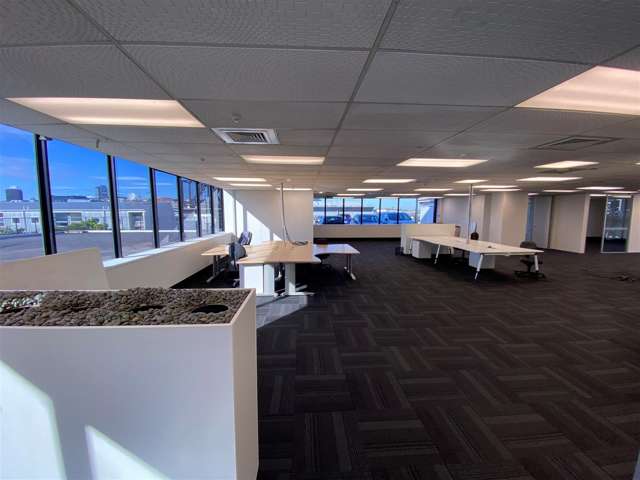 4 Newton Road Grey Lynn_3