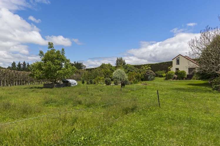 263a Ruahihi Road Kaimai_19