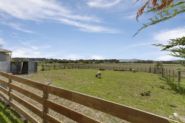 348 Te Matai Road Whakarongo_15