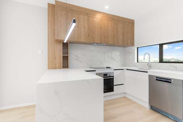 C/345 Great South Road Greenlane_2