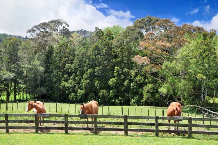 89 Rustybrook Road Wellsford_19