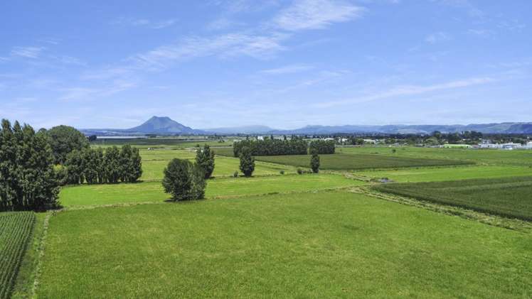 434-454 Awakeri Road Edgecumbe_9