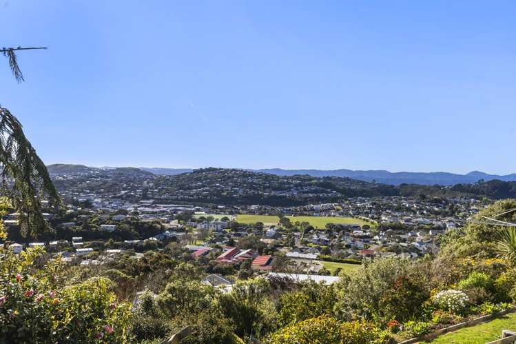 36 McLintock Street Johnsonville_13