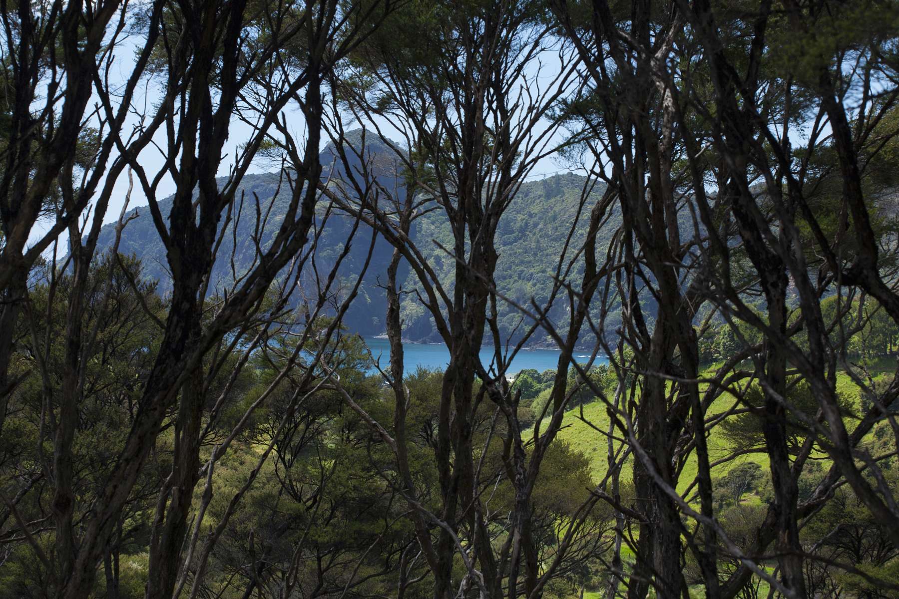 Lot 2 & 3/1032 Taupo Bay Road Taupo Bay Far North Rural Property