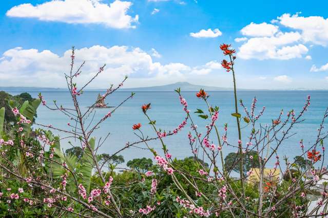 10 Zita Avenue Matakatia_2