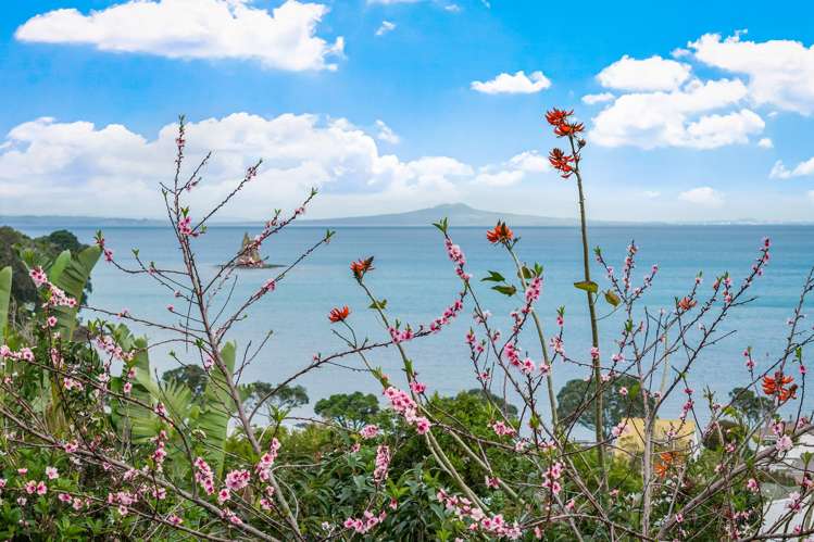 10 Zita Avenue Matakatia_1