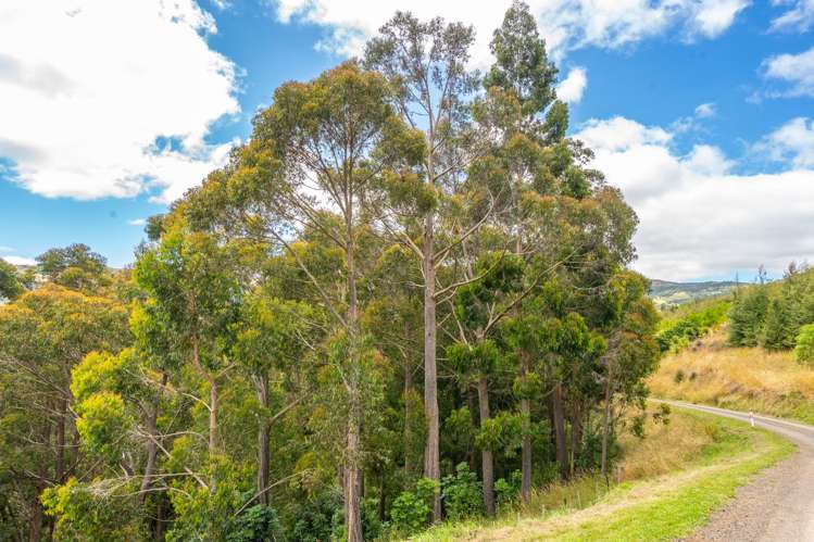 306 Reynolds Valley Road Little River_42