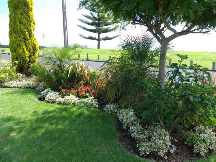 207 Fergusson Drive Thames_20