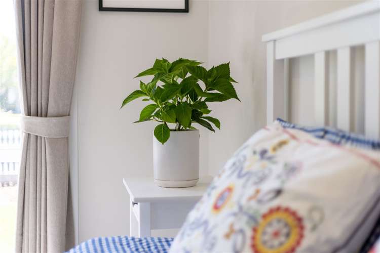 7 Ostler Place Hoon Hay_14