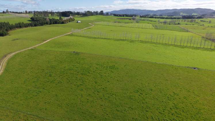 Waiare Road Kerikeri_11