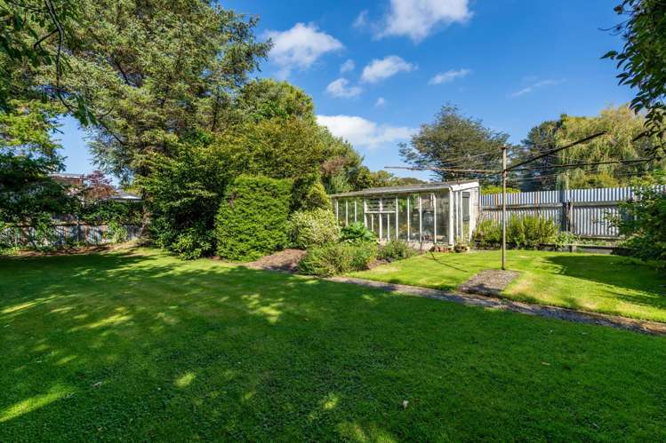 103 Ward Street Waverley_13