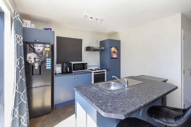 100 Elizabeth Street Riccarton_1