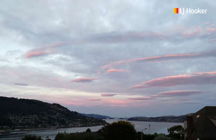 164 Doon Street Waverley_14