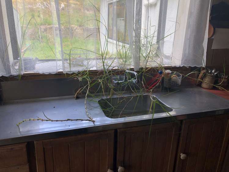 427 Upper Waiwera Road Puhoi_7