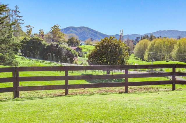 82 Settlement Road Kaiwaka_1