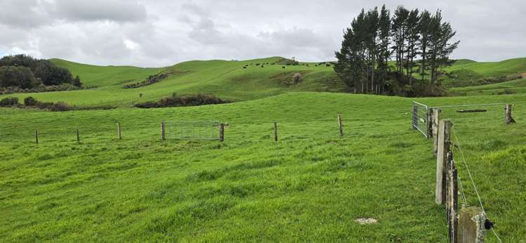 Mangaone Road Inglewood_5
