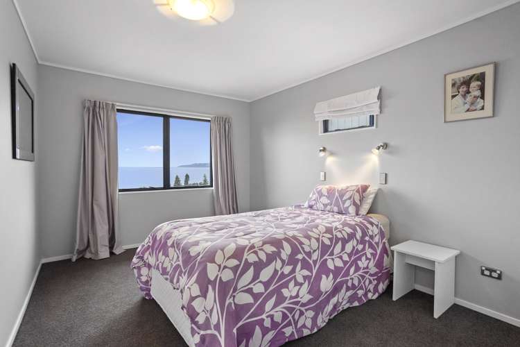 22a Springfield Avenue Ngarimu Bay_12