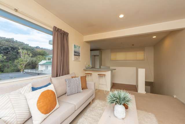 11/17 Adelaide Road Mount Cook_2