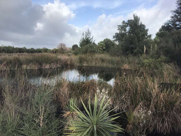 1 Beardmore Lane Papakura_28