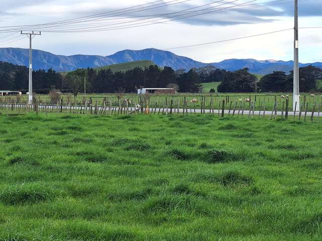 Lot Lot 1/49 Laws Road Dannevirke_2