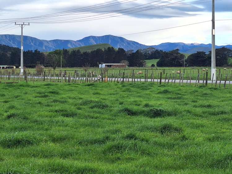 Lot Lot 1/49 Laws Road Dannevirke_2