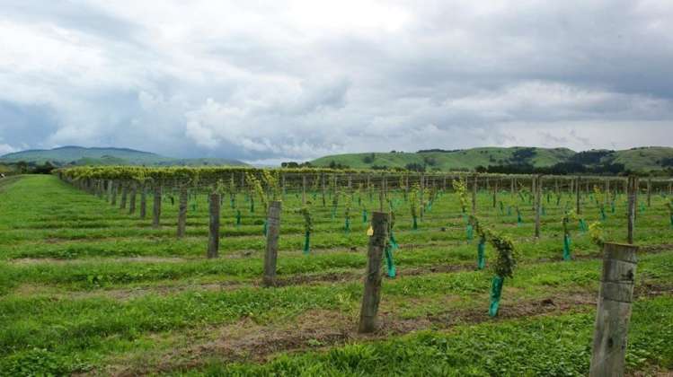 483 Dartmoor Road Puketapu_6